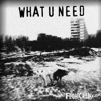 What You Need Ep cover art