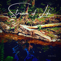 Stream of Life cover art