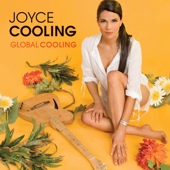 Global Cooling | Joyce Cooling