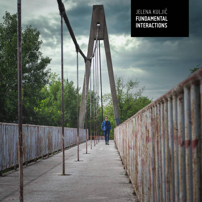 Fundamental Interactions
von Jelena Kuljić