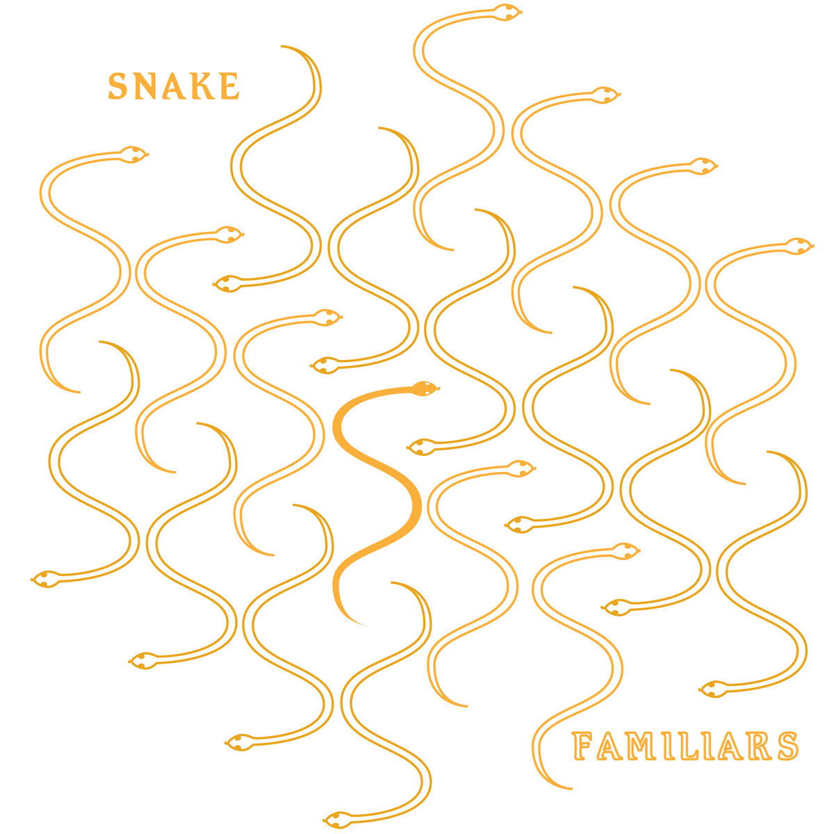 From Slithery Singles To This Snake Group Names Explained - flovfpf