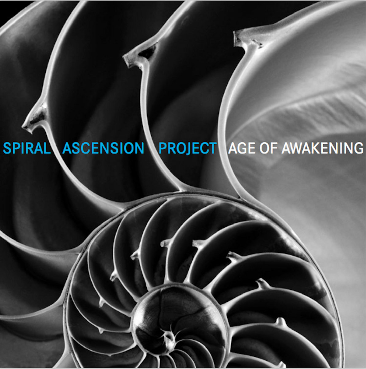 The Age of Awakening | Spiral Ascension Project