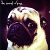 The Sound is Fine EP Cover Art