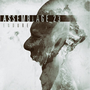 Assemblage 23 — Endure