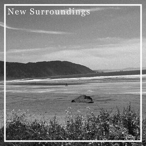 New Surroundingswaltzerr cover