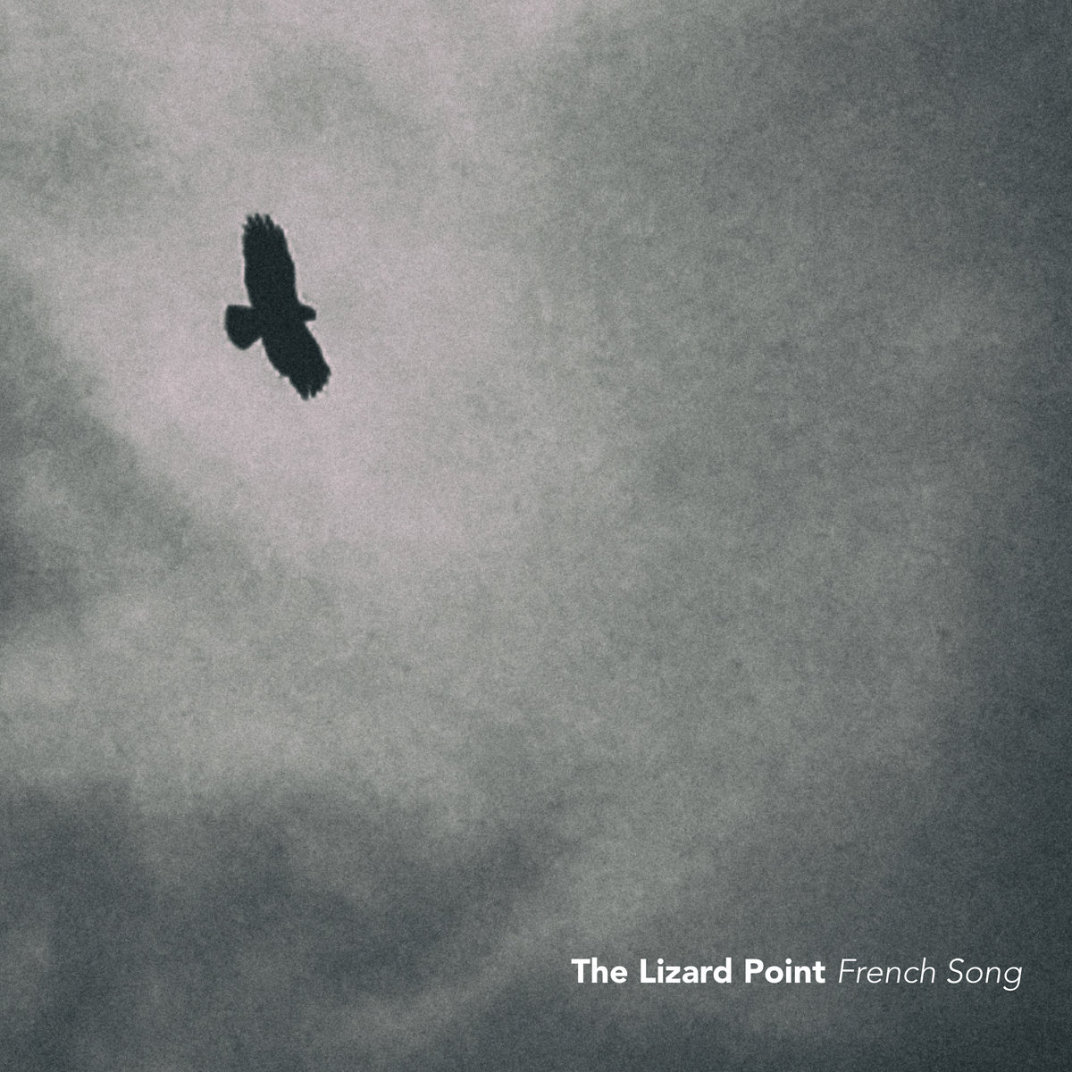 French Song | The Lizard Point