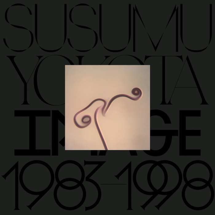 Image 1983-1998 (Skintone Edition) | Susumu Yokota