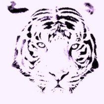 The Tiger cover art