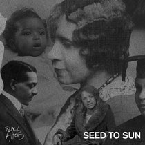 SEED TO SUN cover art