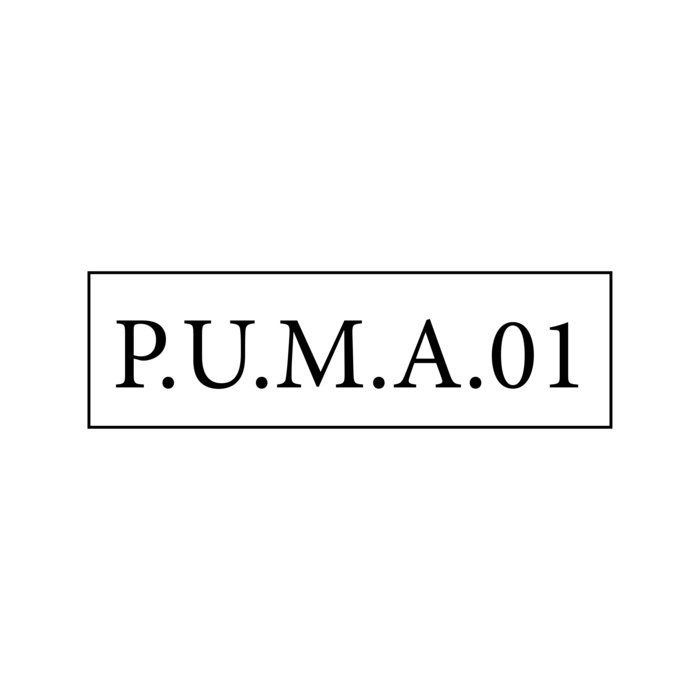 P U M A 01 P U M A Xonar