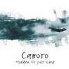 Hidden Or Just Gone (2006) Cover Art