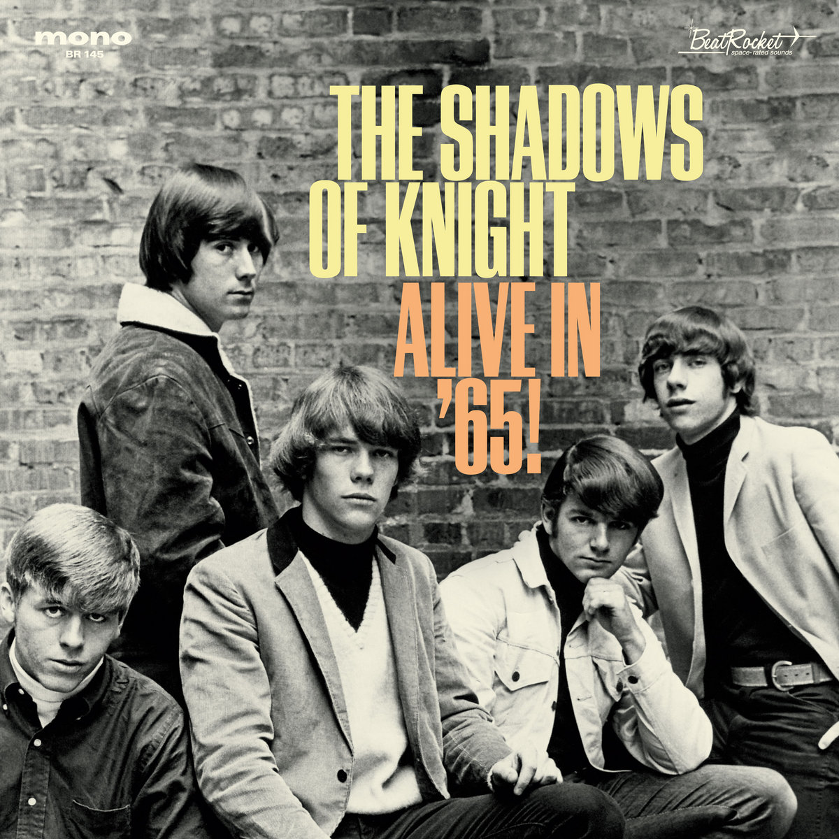 Introducing The Band | The Shadows Of Knight