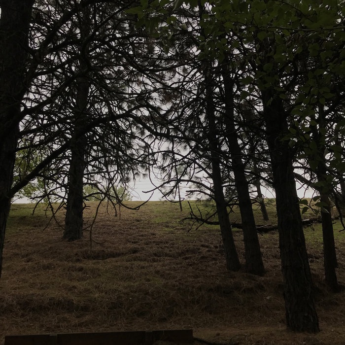 Fake Strings Red Guitar Kyle Farrell