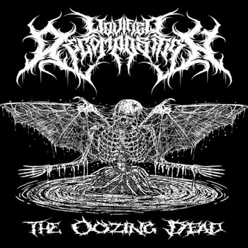 Music | Liquified Decomposition
