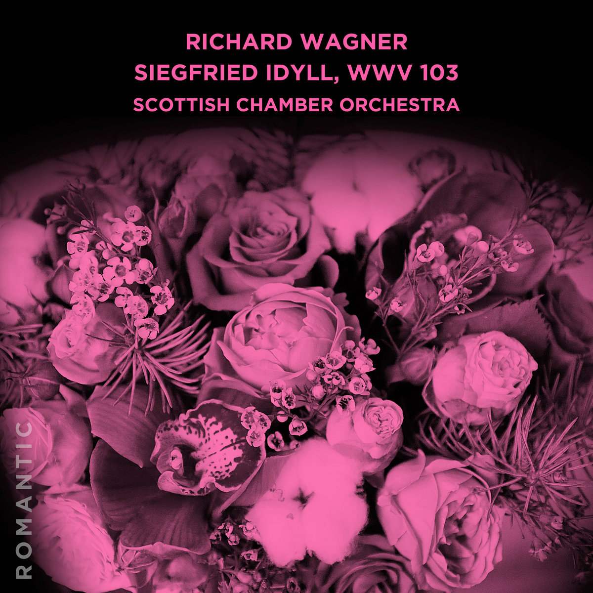 Richard Wagner: Siegfried Idyll, WWV 103 | Scottish Chamber Orchestra