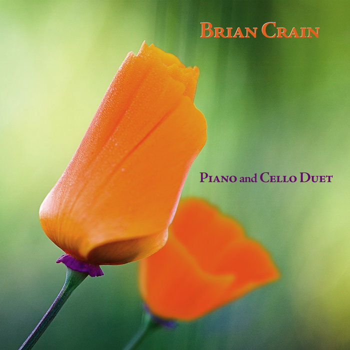 Song for Sienna | Brian Crain