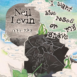 I Want Blue Roses On My Grave cover