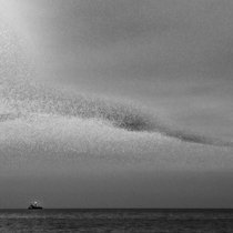 Blanket of Labor cover art