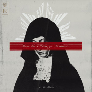 You've Got a Thing for Narcissists cover