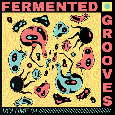 Fermented Grooves Vol 4 (SF017) | Stereo Ferment