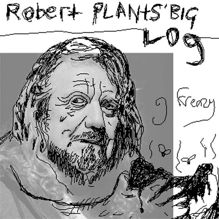 Big log перевод