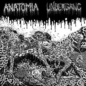 Split w. Anatomia cover