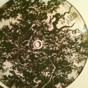 Trees cover
