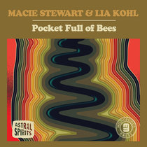 Pocket Full of Bees cover art