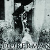 Doberman Cover Art