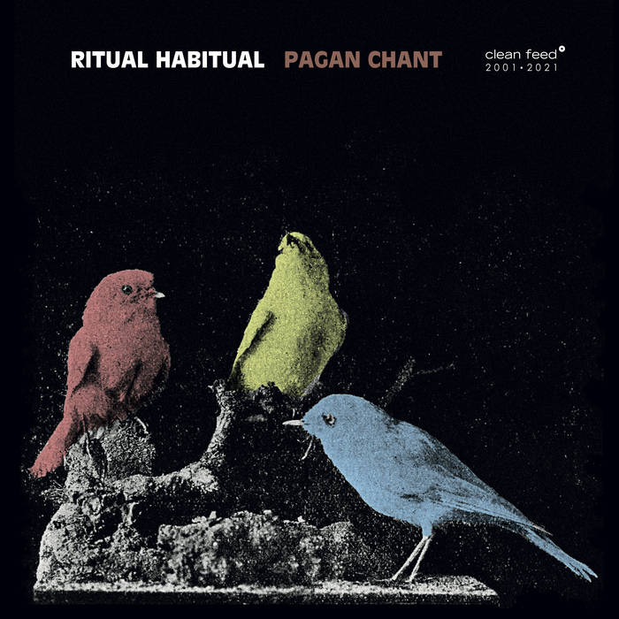 Ritual Habitual - Pagan Chant Cover