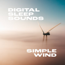 Simple Soothing Wind Sound cover art