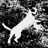 lissomsxyz.bandcamp.com