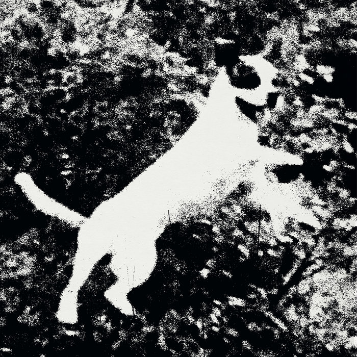lissomsxyz.bandcamp.com