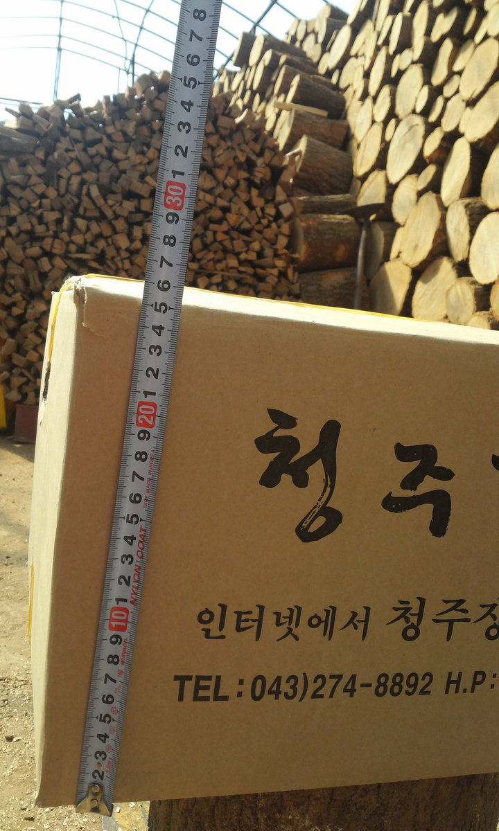 Fileice downloader crack