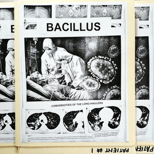 Bacillus — Co-Morbidities of the Long-Haulers