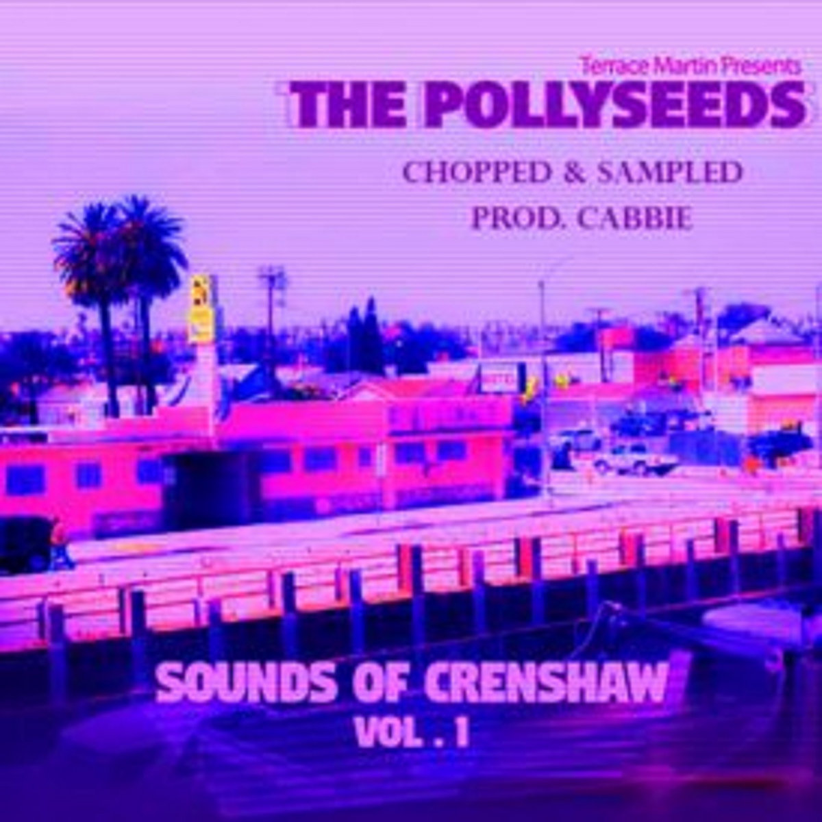 the pollyseeds