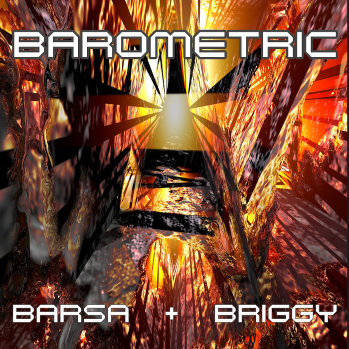 MEANING SPLINTERS BARSA + BRIGGY CHRIS VINE