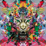 African Psychedelic Beats