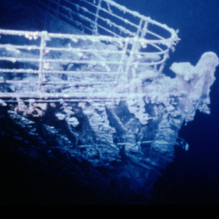 Ocean Decayed Corpse The Ocean Bed Littered With The Dead | Ghidorah