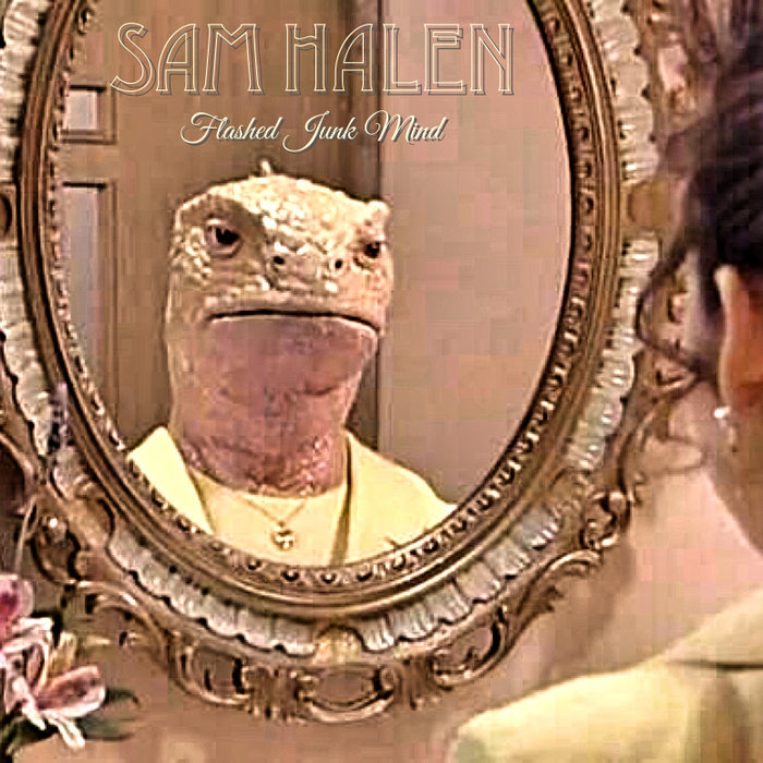 Flashed Junk Mind (Milky Chance Cover) Sam Halen