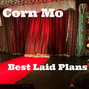 Best Laid Plans cover