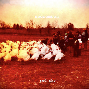 red sky cover