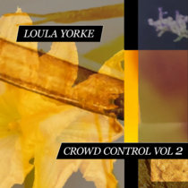 Crowd Control Vol 2 cover art