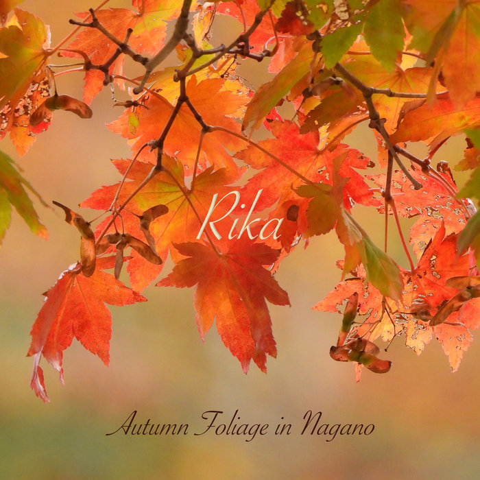 Autumn Foliage in Nagano cover art