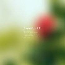 Camellia cover art