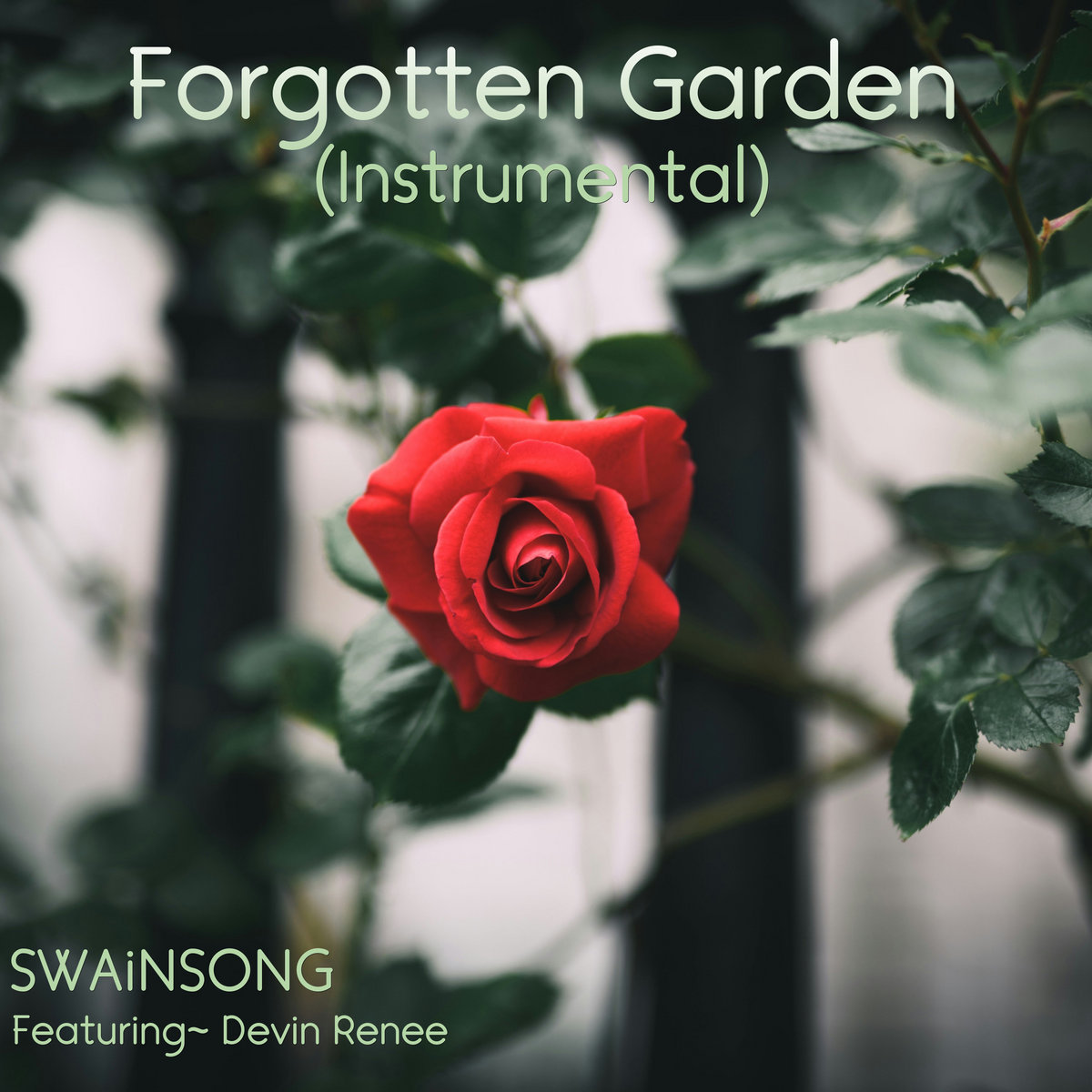 Forgotten Garden (Instrumental)