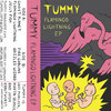 Flamingo Lightning EP Cover Art