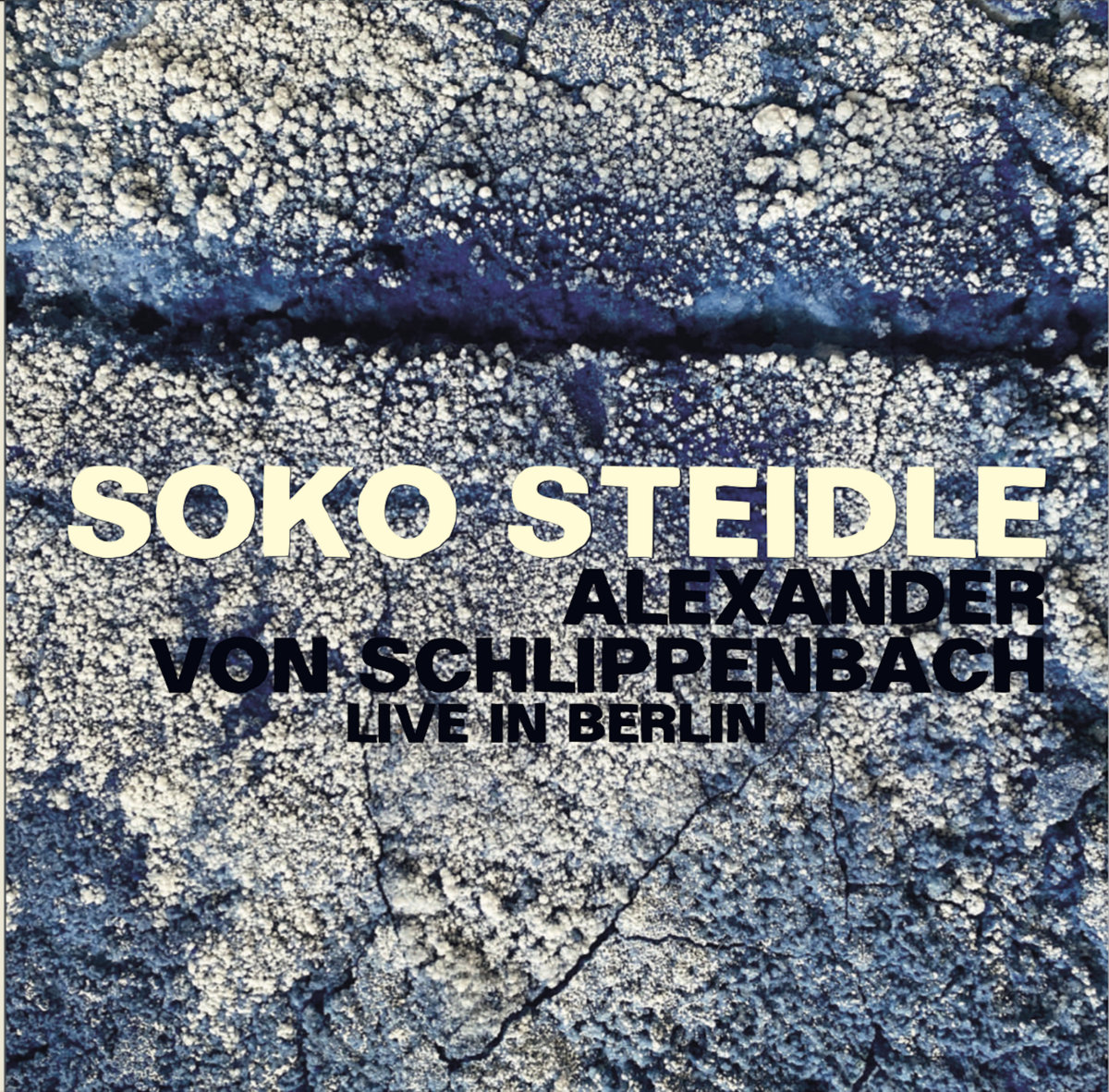 Soko Steidle + Alexander von Schlippenbach