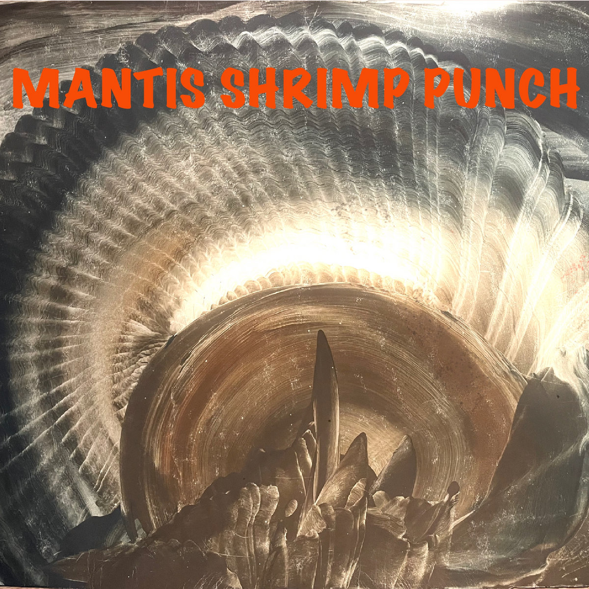 MANTIS SHRIMP PUNCH MANTIS SHRIMP PUNCH