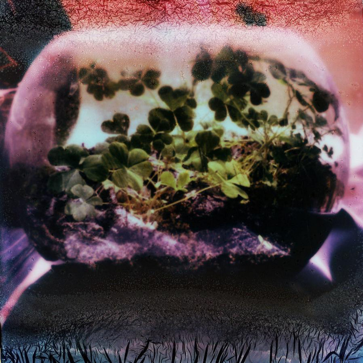 Forever | Death Of Heather